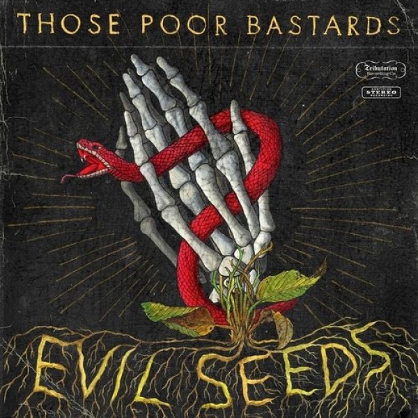 Evil Seeds Album 