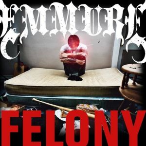 Felony - album