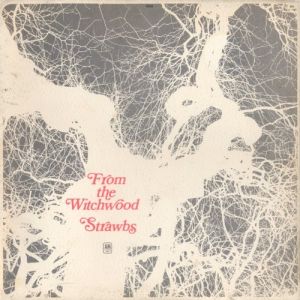 Album Strawbs - From the Witchwood