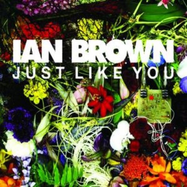 Just Like You Album 