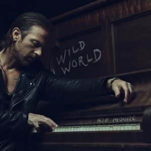 Wild World - album