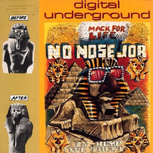 No Nose Job Album 
