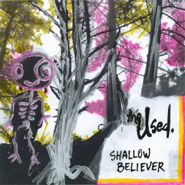 The Used Shallow Believer, 2008