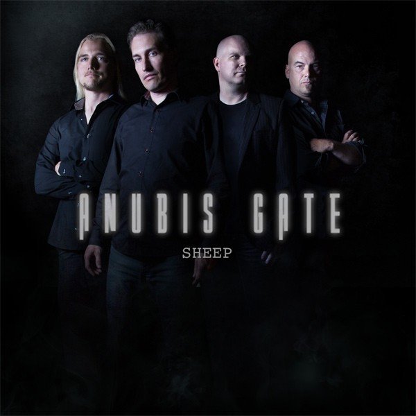 Sheep Album 