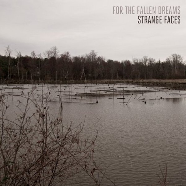 For the Fallen Dreams Strange Faces, 2011
