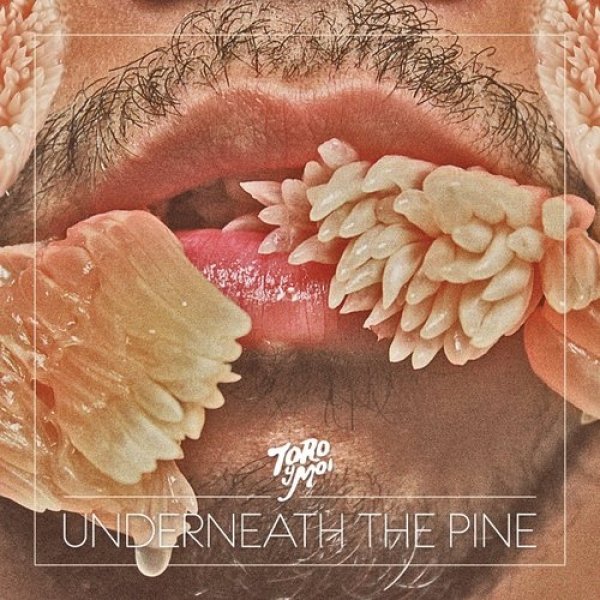 Toro y Moi Underneath the Pine, 2011