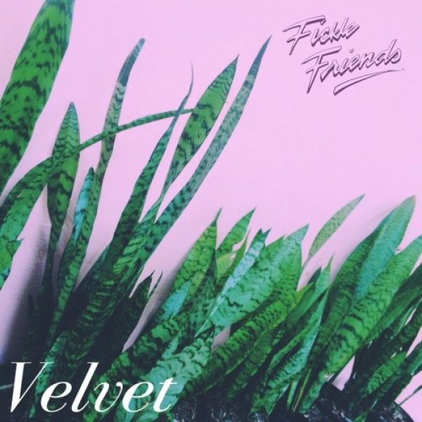Album Fickle Friends - Velvet