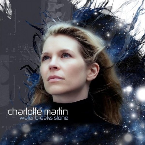 Charlotte Martin Water Breaks Stone, 2014