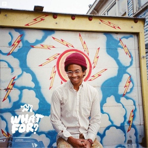 Toro y Moi What For?, 2015