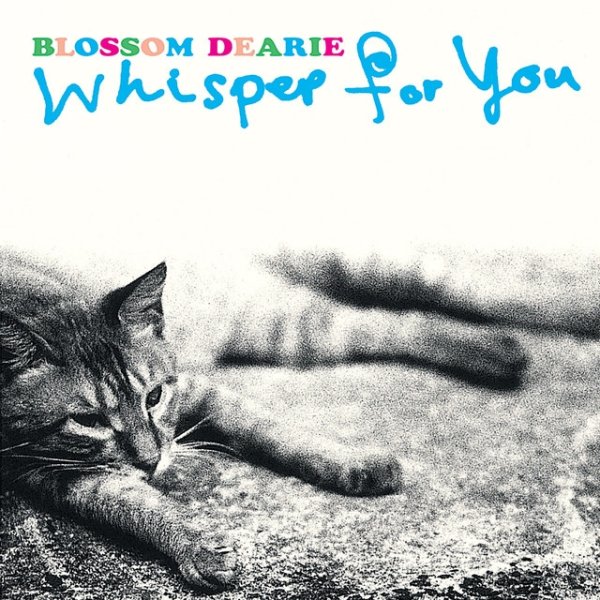 Whisper For You Album 