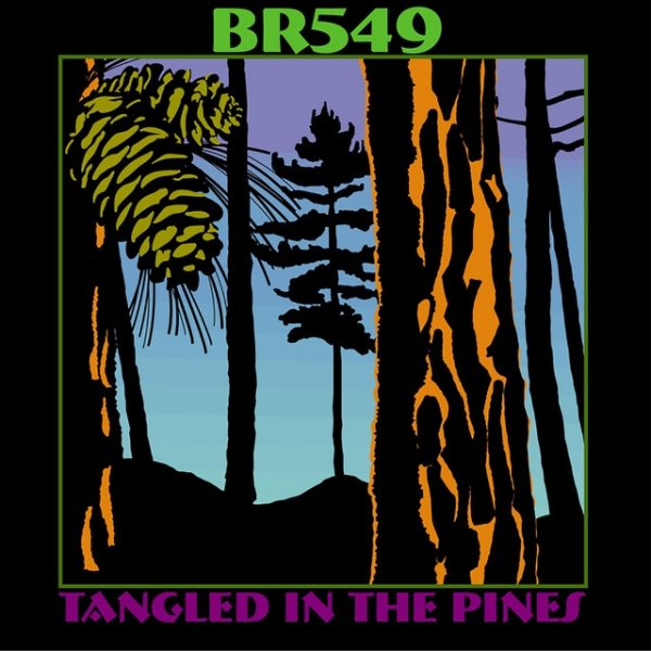 BR5-49 Tangled In The Pines, 2003