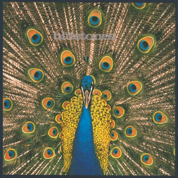 The Bluetones Expecting To Fly, 1996