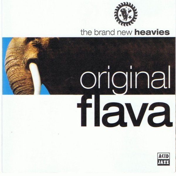 The Brand New Heavies Original Flava, 1993