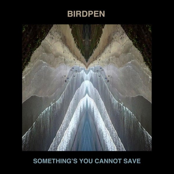 Birdpen Some Things You Cannot Save, 2020