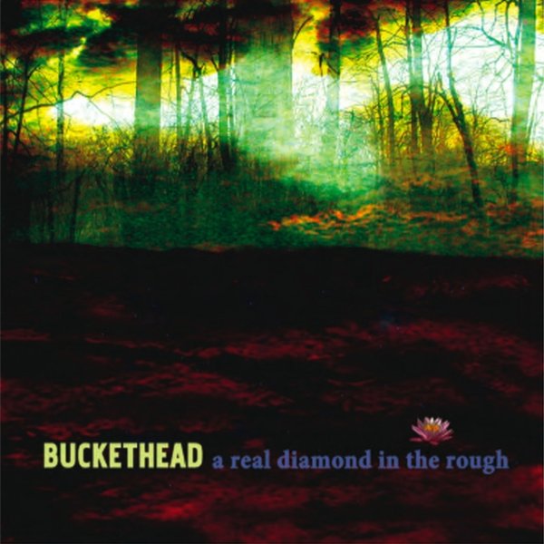 Buckethead A Real Diamond in the Rough, 2009