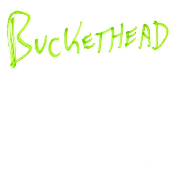Buckethead Pike 91, 2014