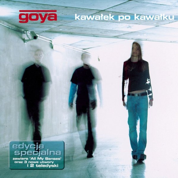 Goya Kawalek Po Kawalku, 2003
