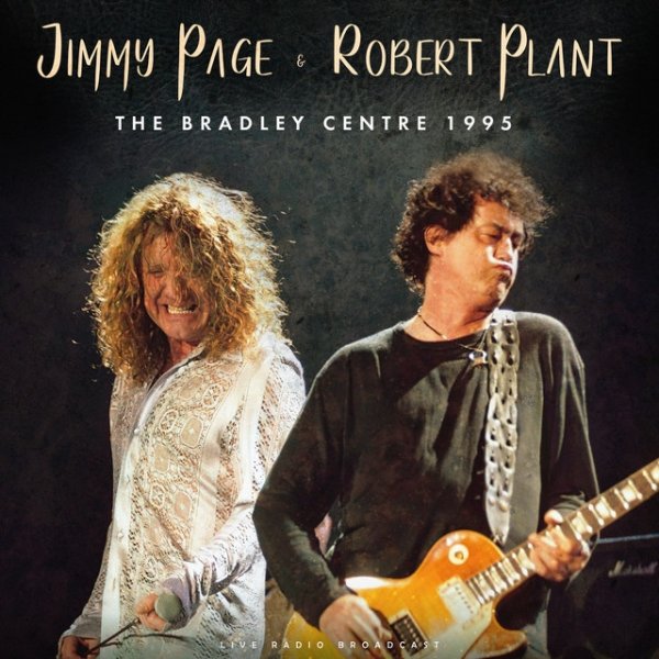 Jimmy Page The Bradley Centre 1995, 1995