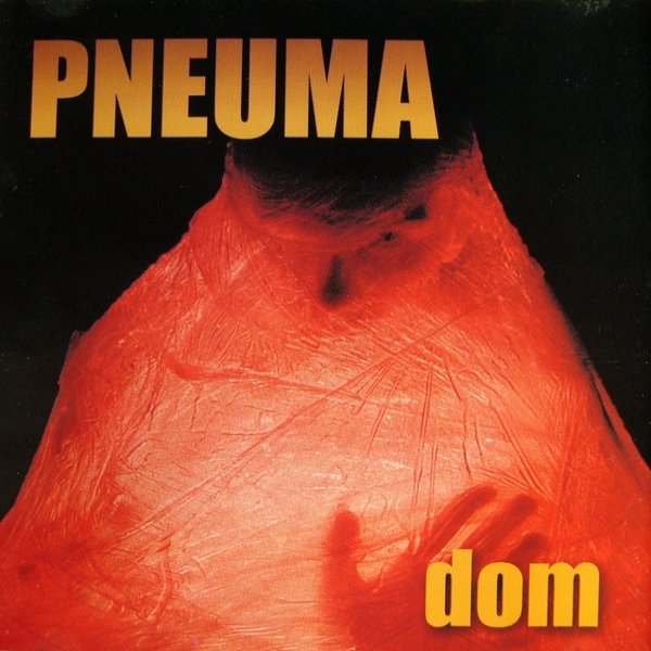 Pneuma Dom, 2003