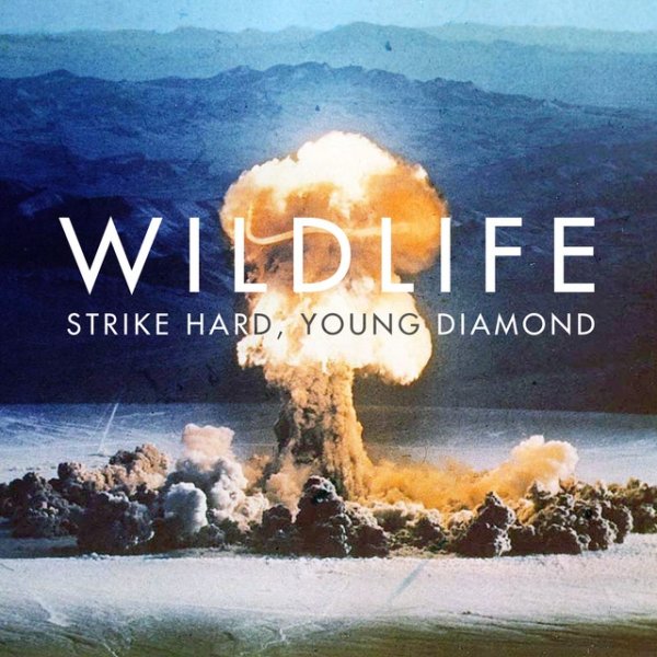Wildlife Strike Hard Young Diamond, 2010