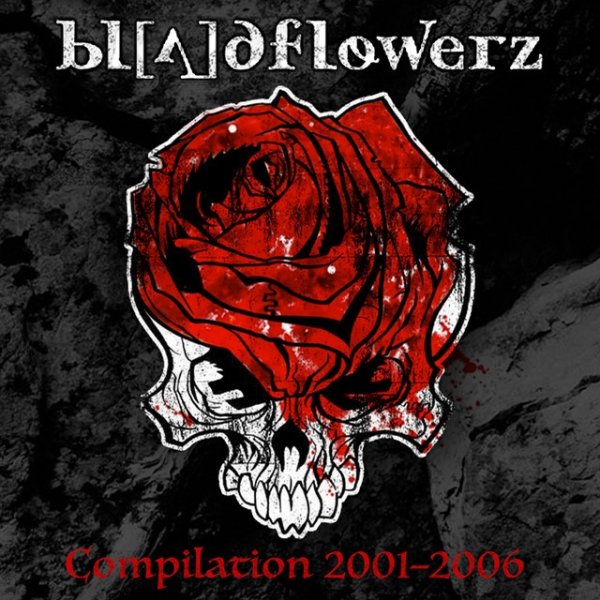 Compilation 2001-2006 Album 