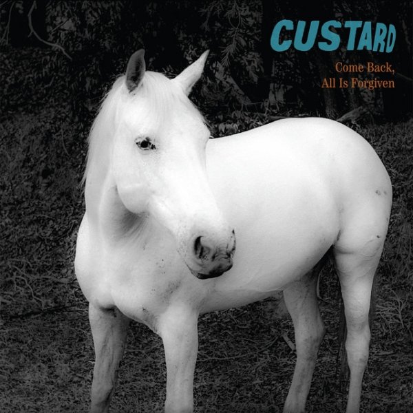 Custard Come Back, All Is Forgiven, 2015