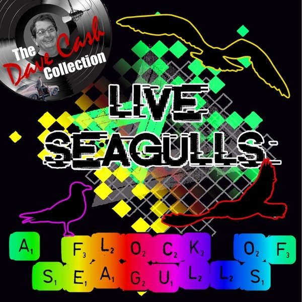 Live Seagulls Album 