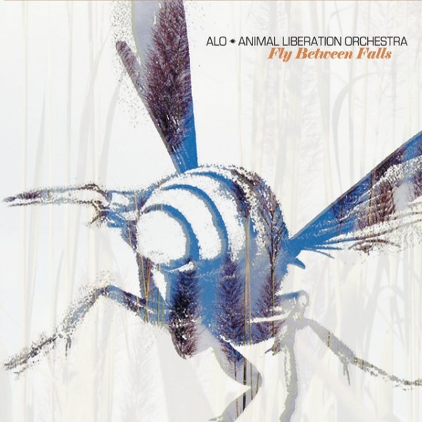 Animal Liberation Orchestra Fly Between Falls, 2005