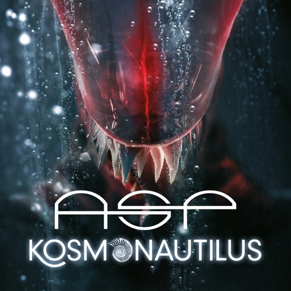 ASP Kosmonautilus, 2019