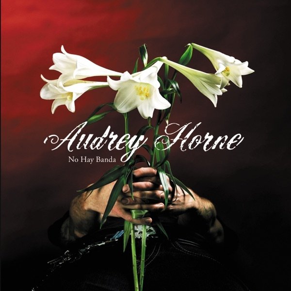 Audrey Horne No Hay Banda, 2005