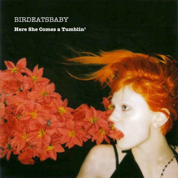 Birdeatsbaby Here She Comes-a-Tumblin', 2009