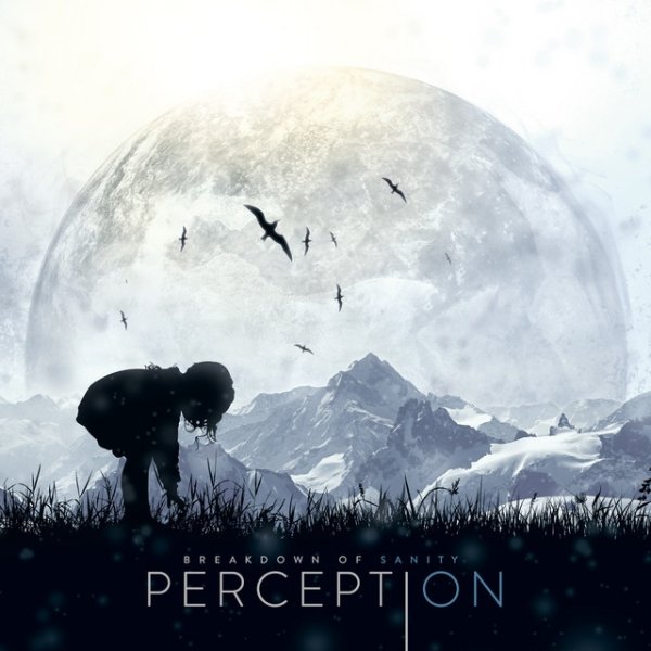Perception Album 