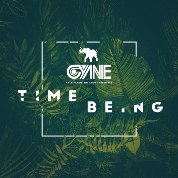 Time Being Album 