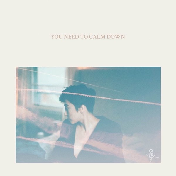 You Need To Calm Down Album 