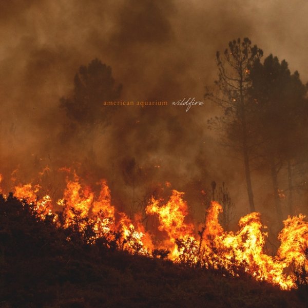 Wildfire Album 