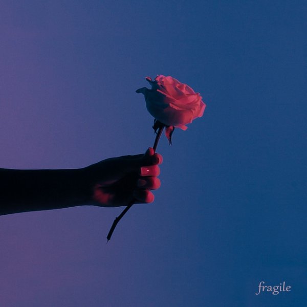 Fragile Album 