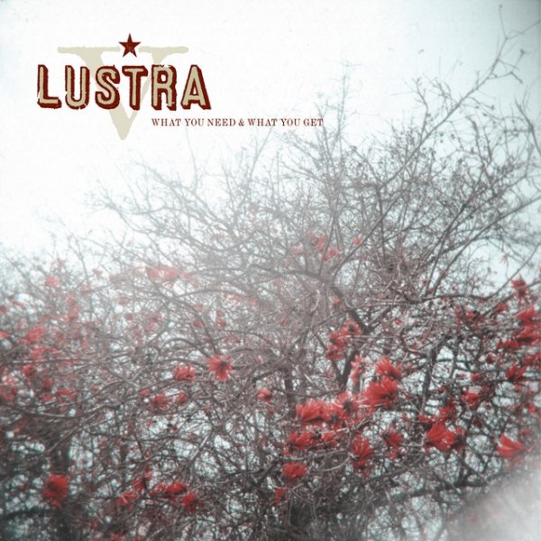 Lustra What You Need & What You Get, 2008