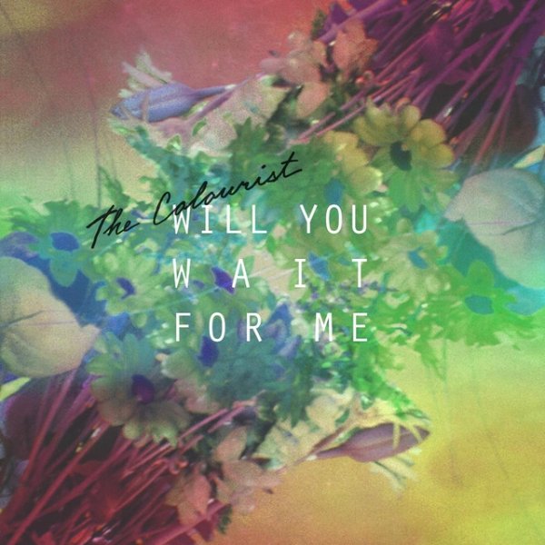 Will You Wait for Me Album 