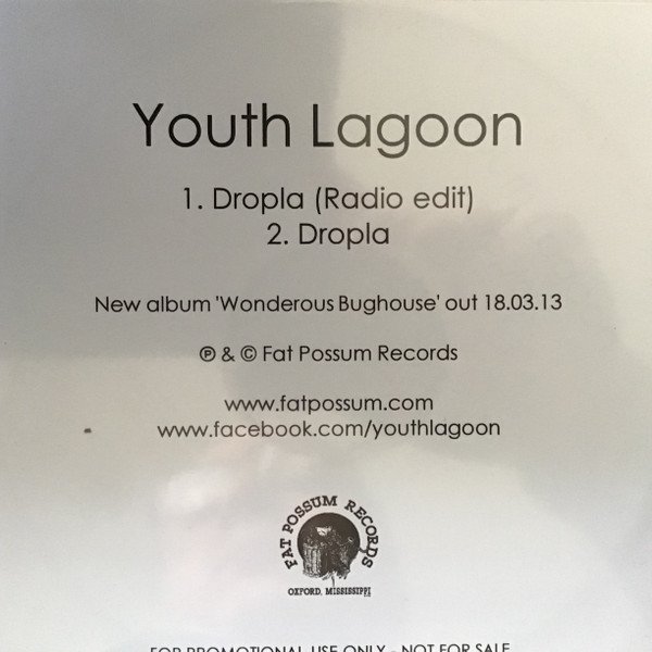 Youth Lagoon Dropla, 2013