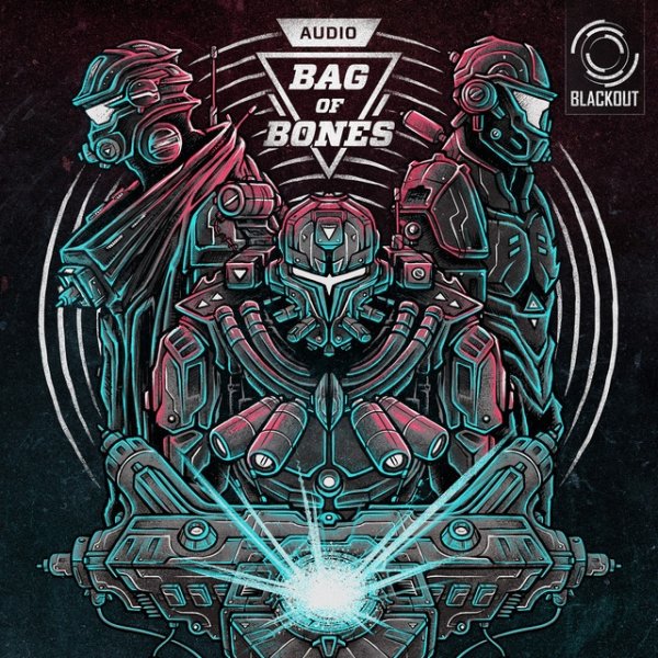Bag of Bones Album 