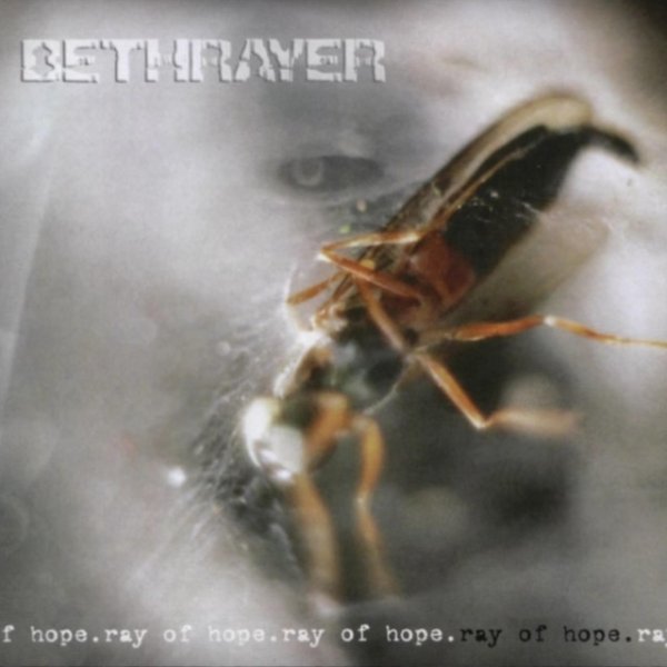 Bethrayer Ray of Hope, 2004