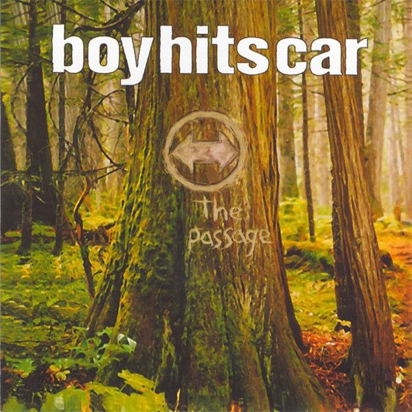 Boy Hits Car The Passage, 2005