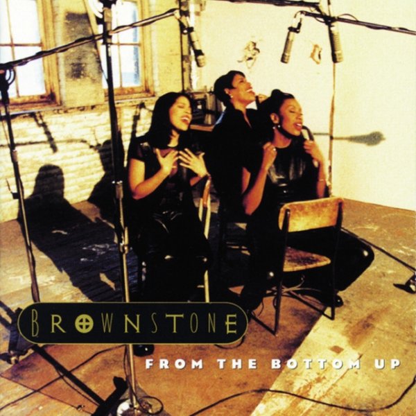 Brownstone From The Bottom Up, 1993