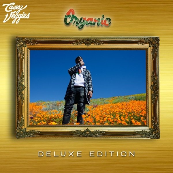 Organic Album 