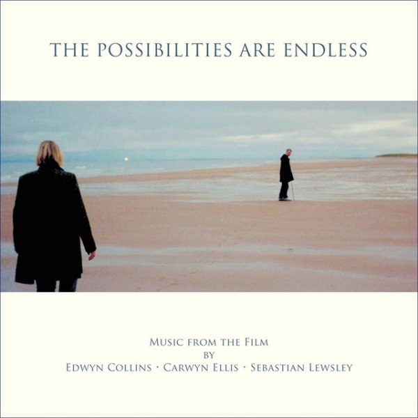 The Possibilities Are Endless Album 