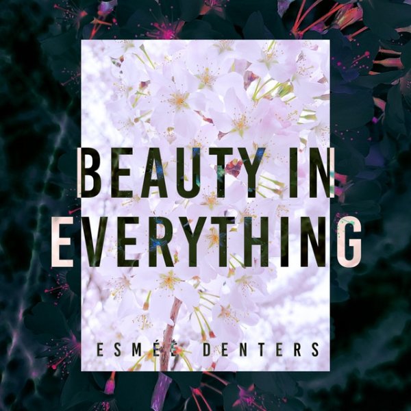 Beauty In Everything Album 