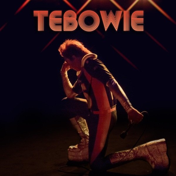 Tebowie - album