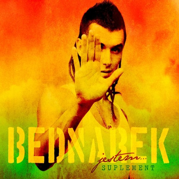 Kamil Bednarek Jestem… Suplement, 2013