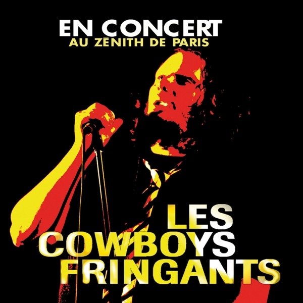 En concert au Zénith de Paris Album 