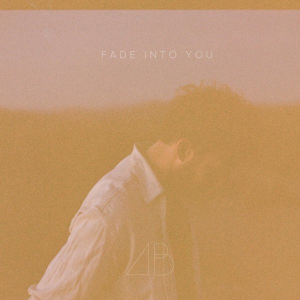 Fade into You Album 